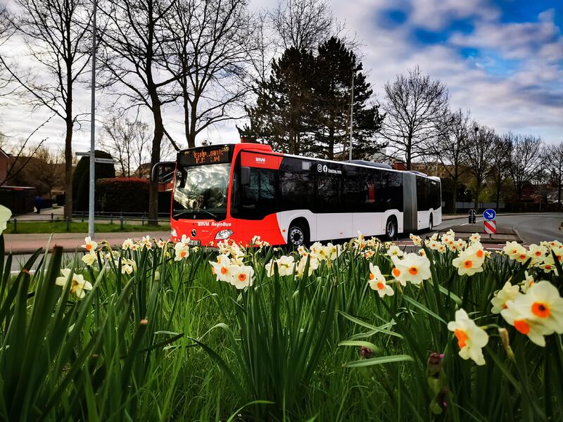 Ein Bus mit einem Blumenbeet im Vordergrund.